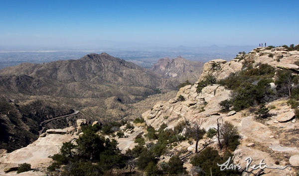 View at Windy Point, Mount Lemmon